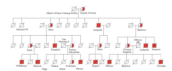 A pedigree tracing the gene for hemophilia in the royal family