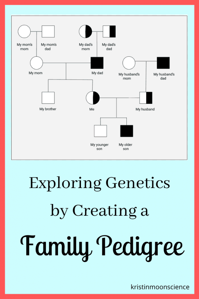 Learn how DNA has shaped your family by constructing a family pedigree.  Use your phenotype (your observable traits) to determine your genotype (what genes you carry)