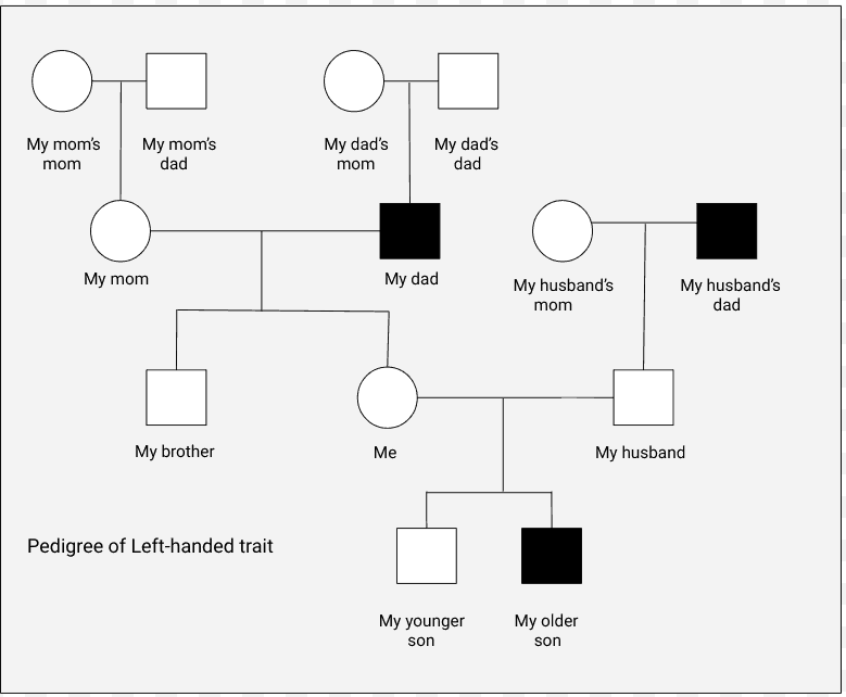 A family pedigree tracing the left-handedness genetic trait