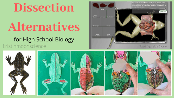 Dissection Alternatives for High School Biology - Kristin Moon Science